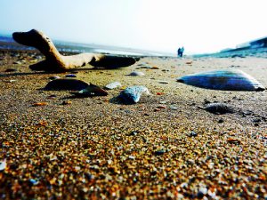 Edinburgh, Portobello Beach, Scotland