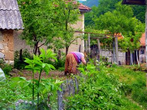 Rural Bosnia