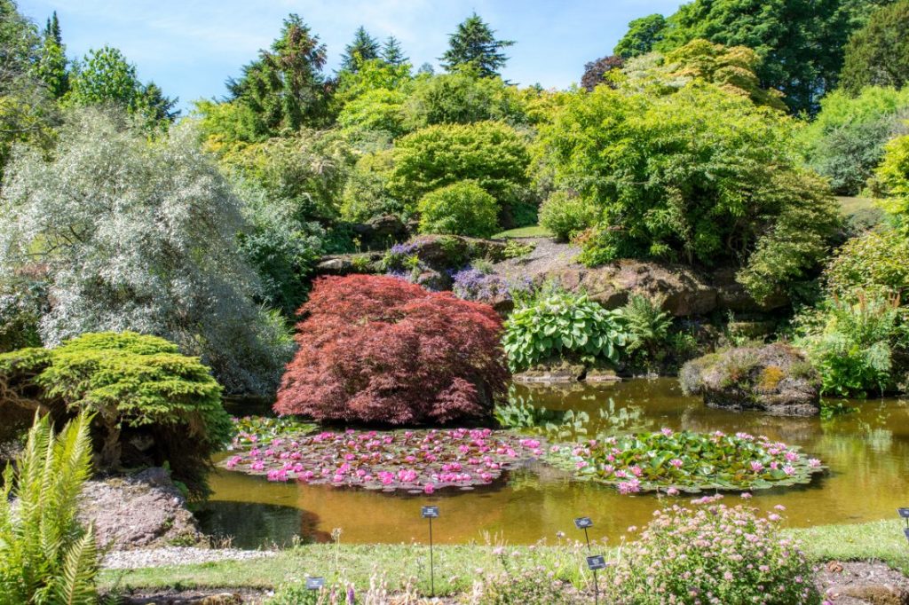 A Day Trip to Mount Stuart on Bute