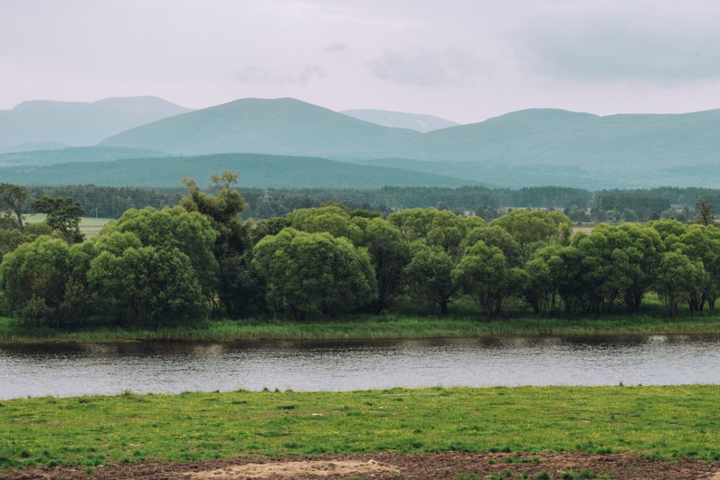 Scenery on the Strathspey Railway